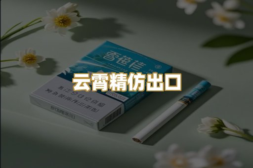 云霄精仿出口